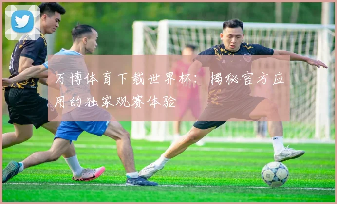 万博体育下载世界杯：揭秘官方应用的独家观赛体验