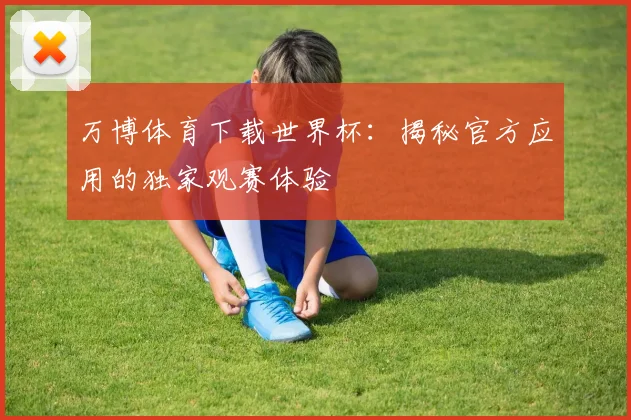 万博体育下载世界杯：揭秘官方应用的独家观赛体验